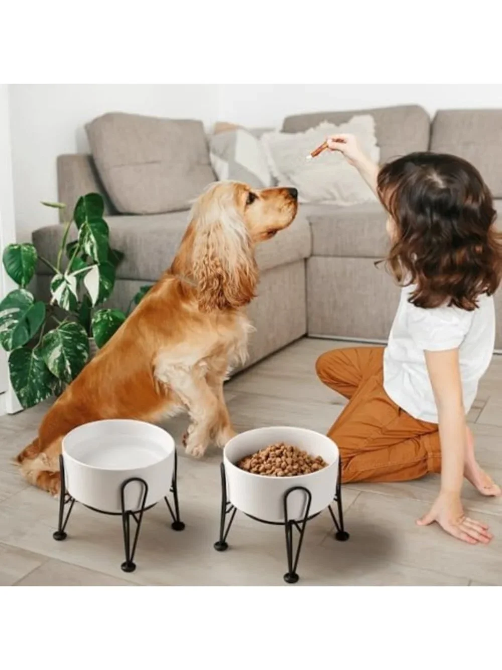 Elevated Ceramic Dog Bowls Set - Anti-Slip Metal Stand, 2 Pack for Small/Medium